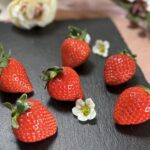 レッスンウィーク終了しました